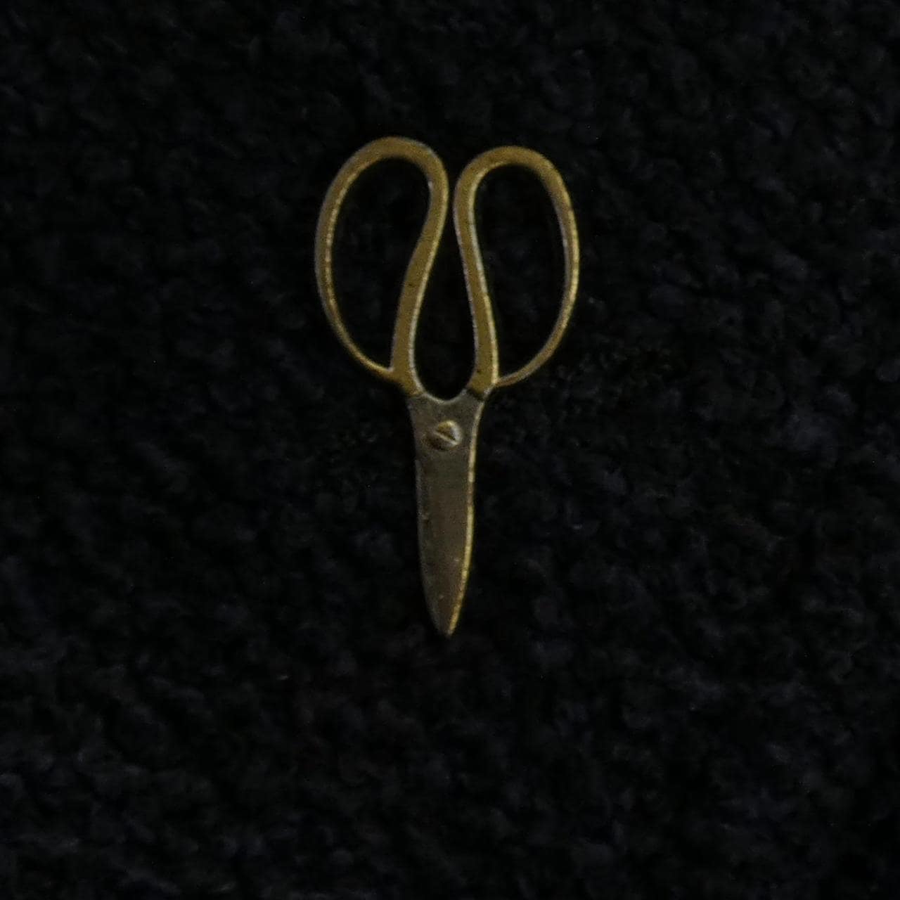 パオローニ PAOLONI 2411G967 ジャケット