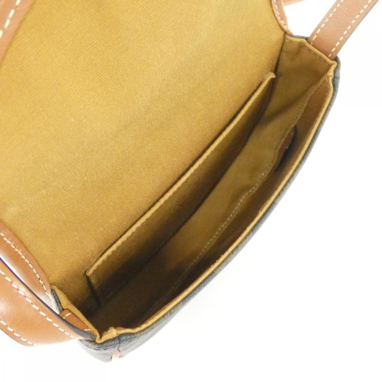 セリーヌ ミニ ブサス  196702BZJ ショルダーバッグ