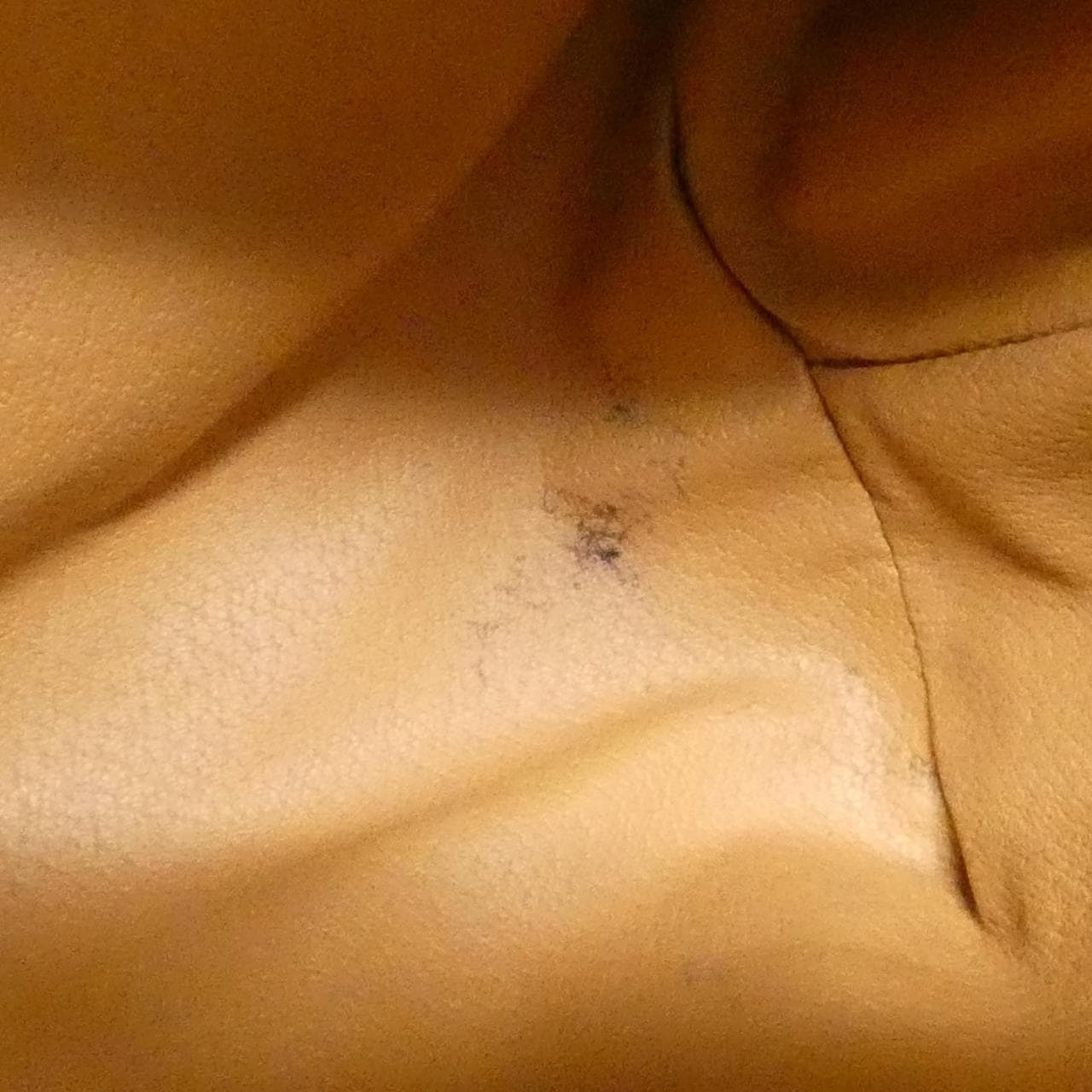 【ヴィンテージ】セリーヌ バッグ