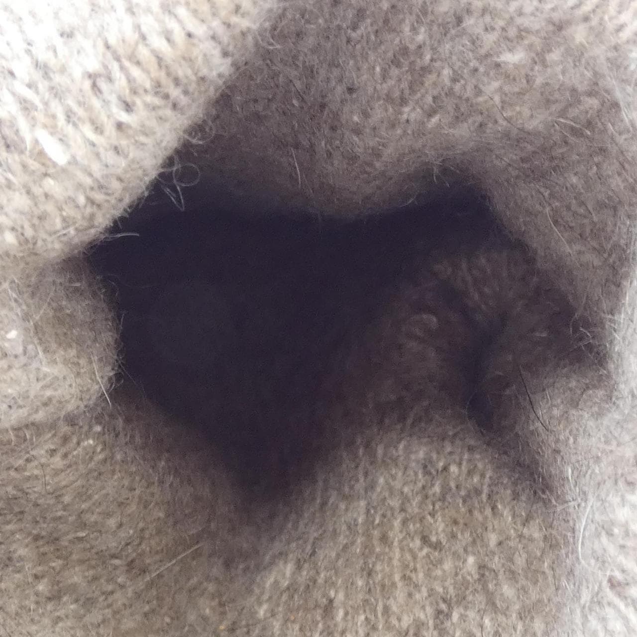 セルモネータ SERMONETA GLOVE