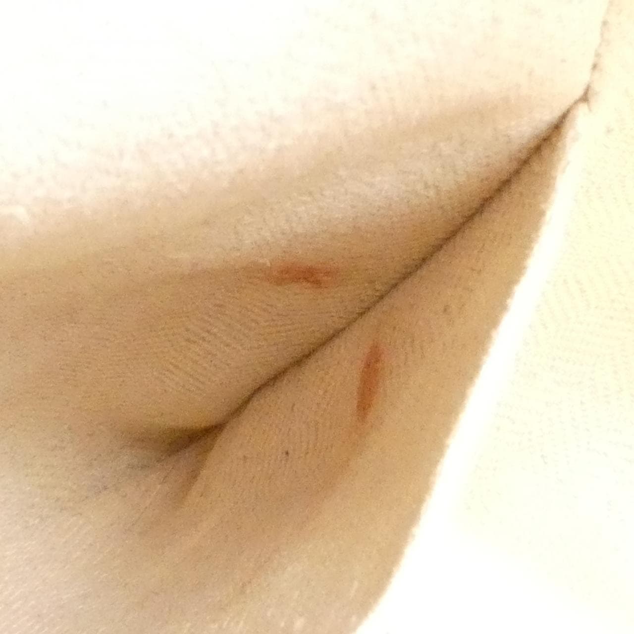 ロエベ ハンモック スモール 387 12KN60 ショルダーバッグ