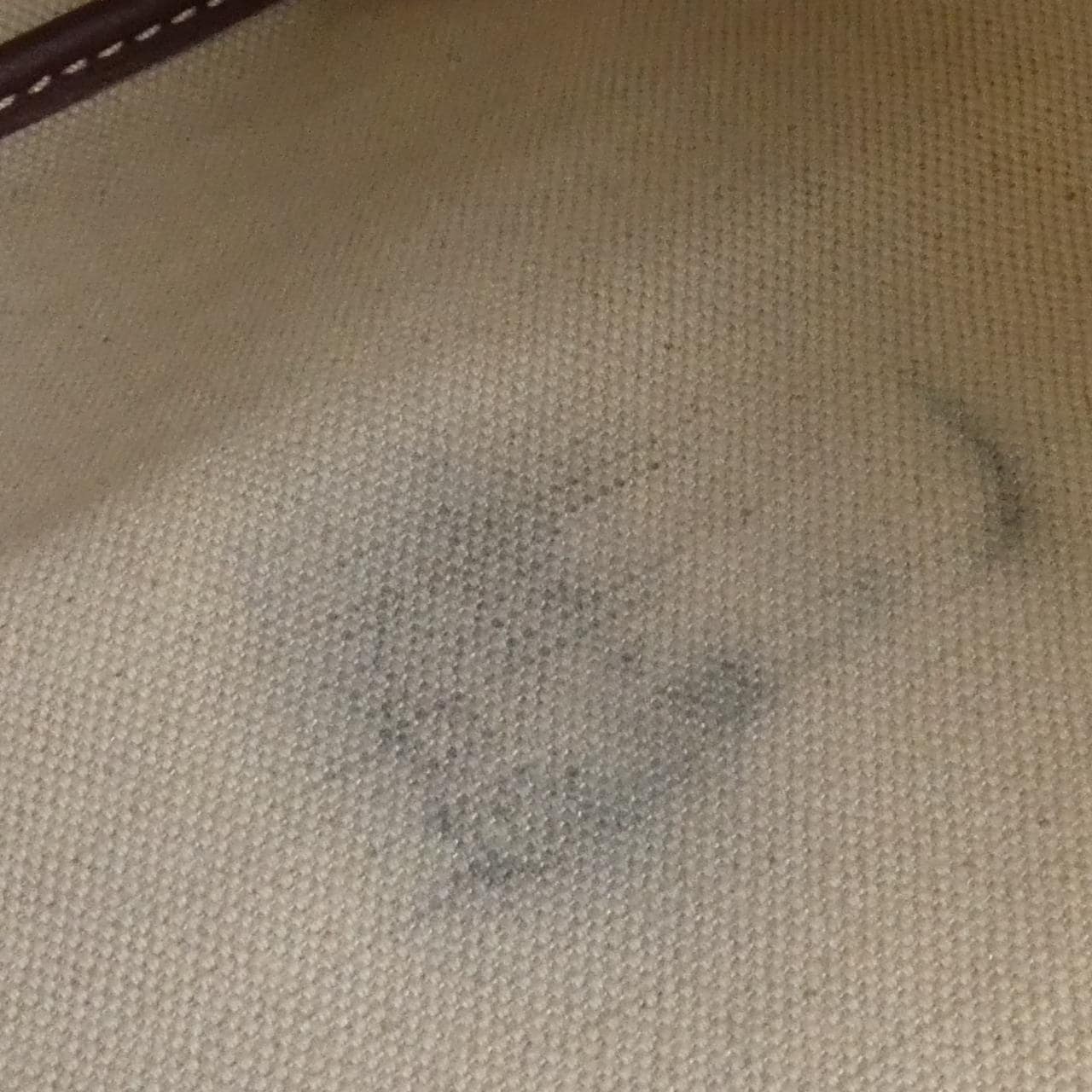 ゴヤール サン ルイ AMA LOUIS PM バッグ