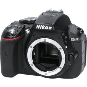 Ｄ５３００