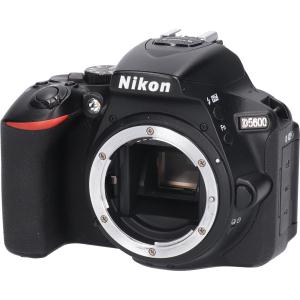 Ｄ５６００