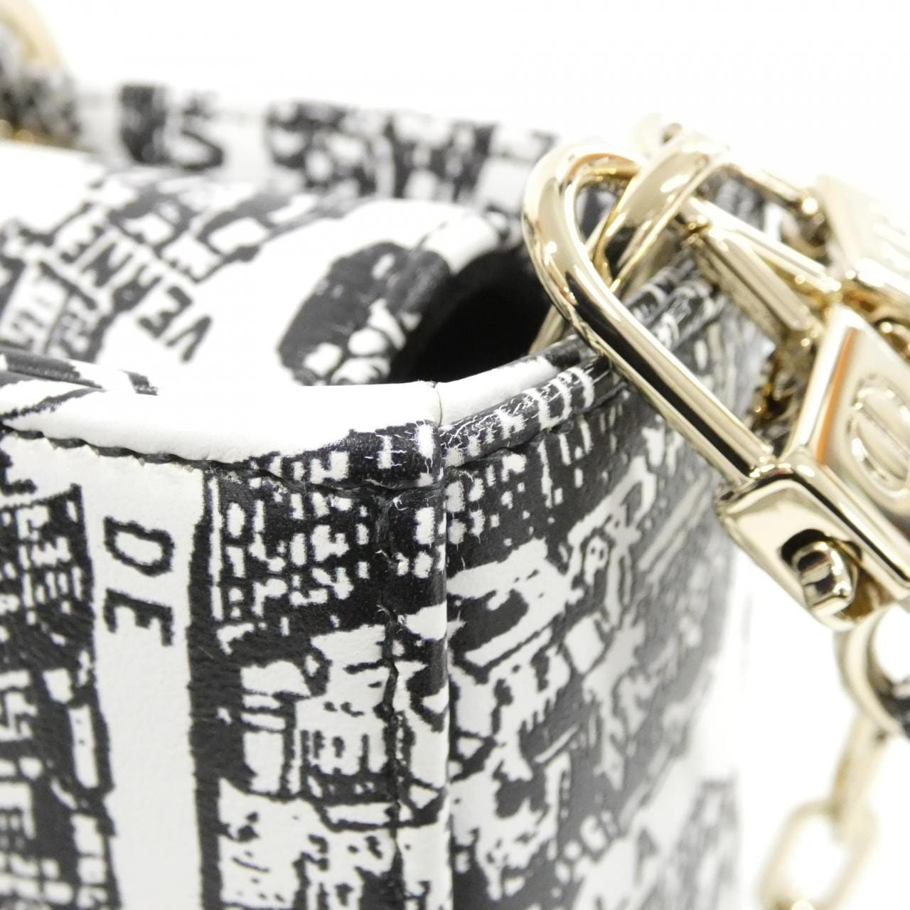 クリスチャンディオール PLAN DE PARIS レディ Dジョイ ミディアム バッグ