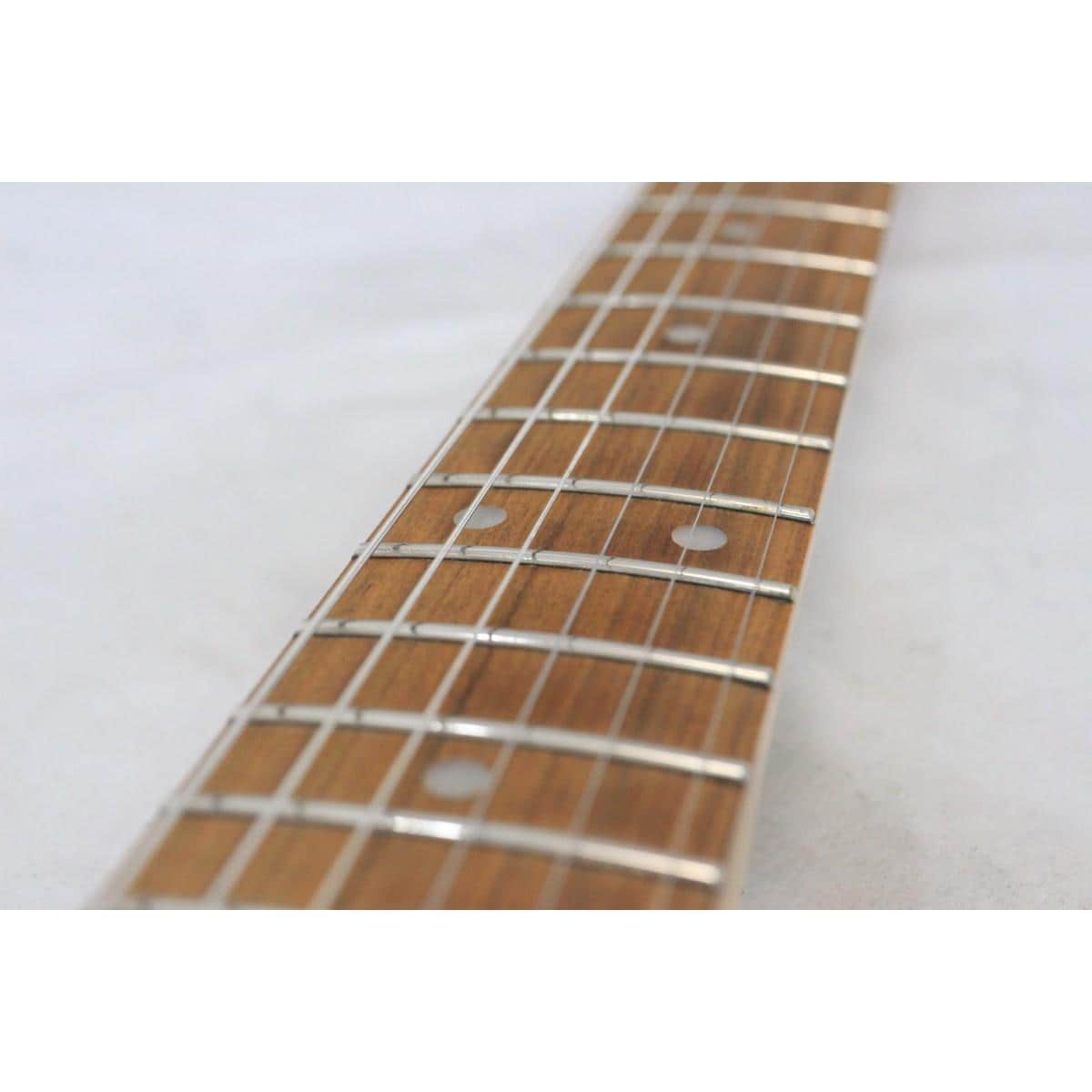 FENDER  ALTERNATE REALITY METEORA