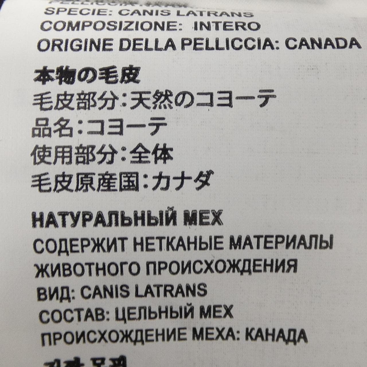 カナダグース CANADA GOOSE チリワック 7999L CHILLIWACK ダウンジャケット