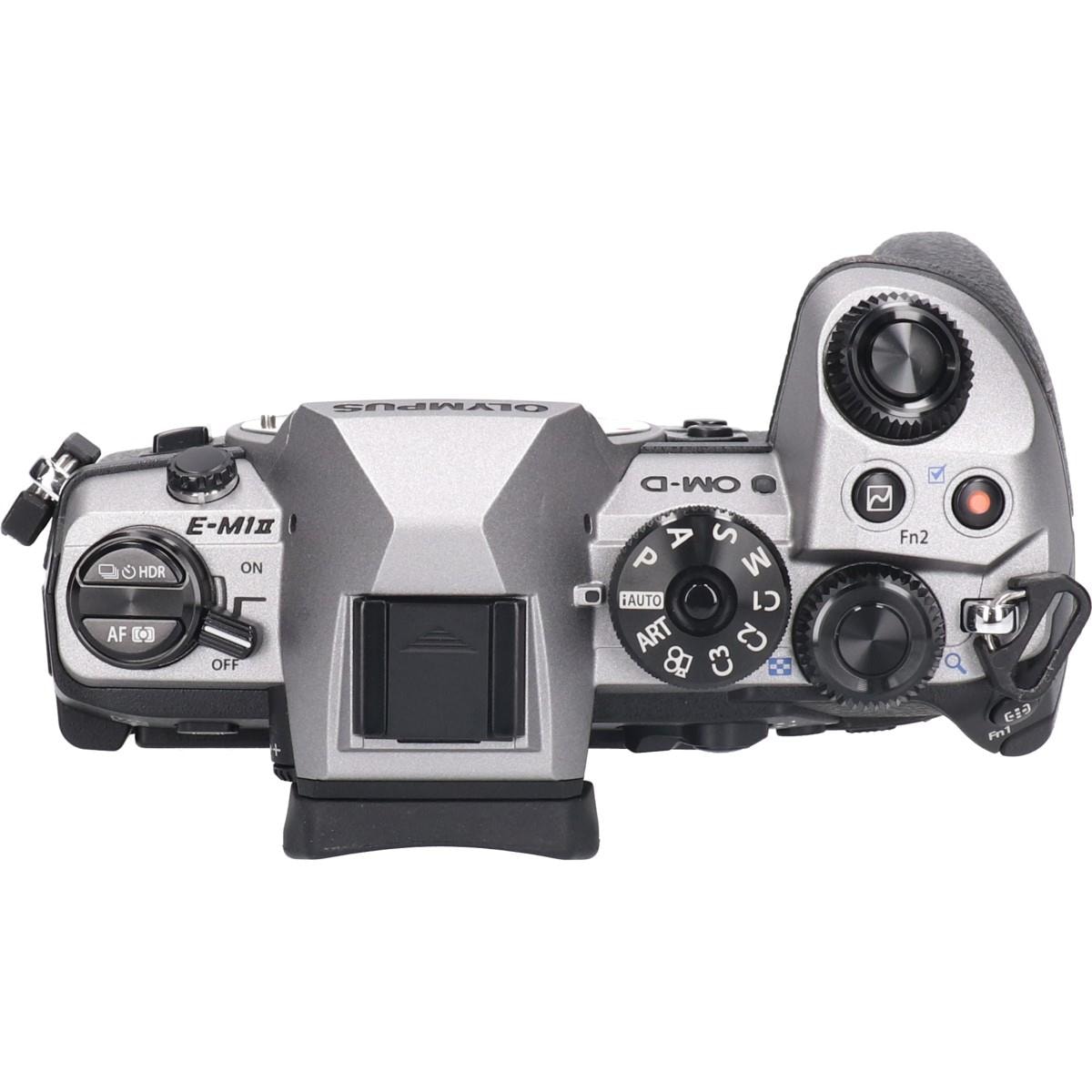 Ｅ－Ｍ１　ＭＡＲＫⅡ