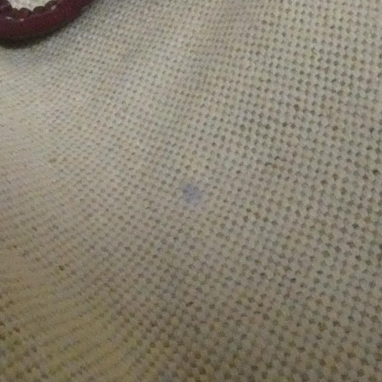 ゴヤール サン ルイ PM AMA LOUIS PM バッグ