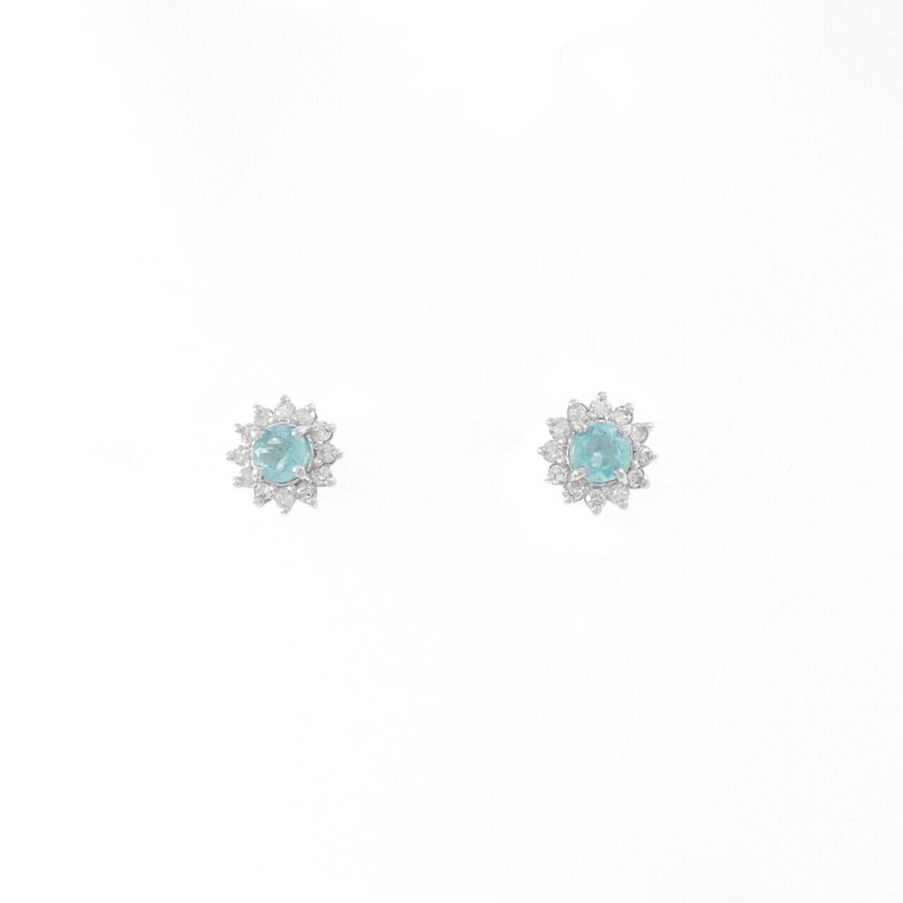 PT900 アパタイト ピアス 0.20CT