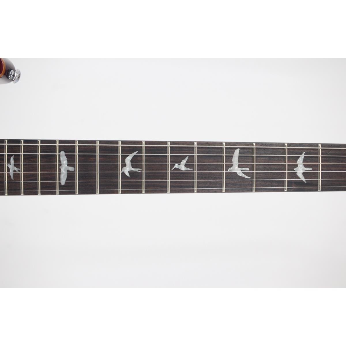 PAUL REED SMITH SE CUSTOM 24