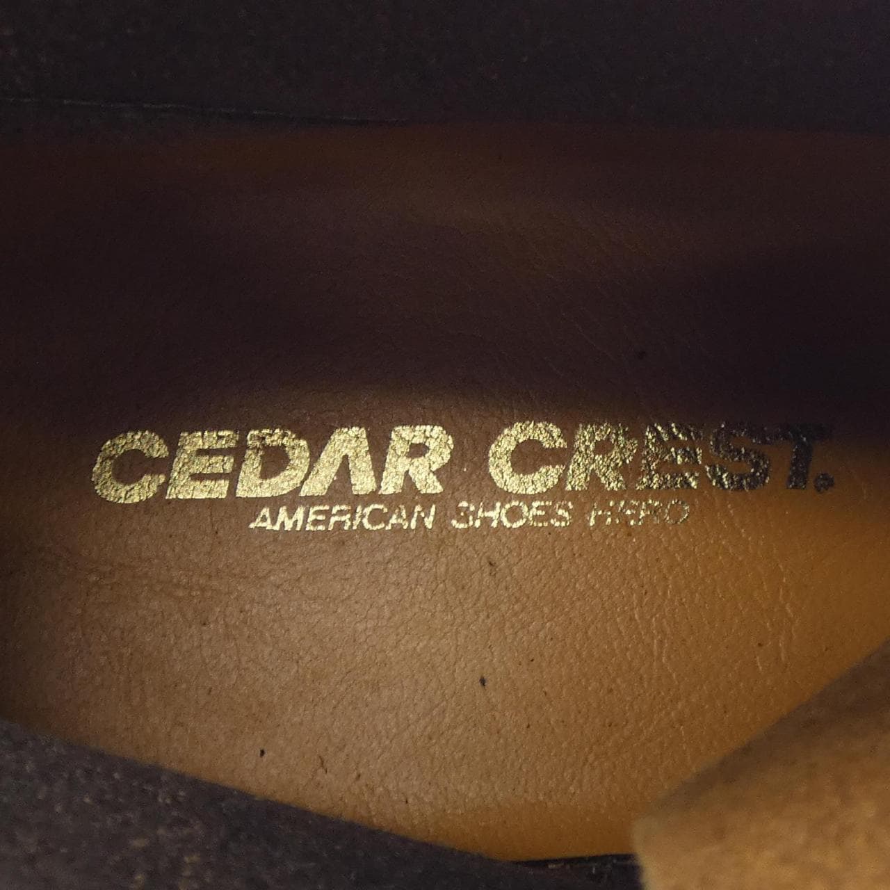 CEDAR CREST シューズ