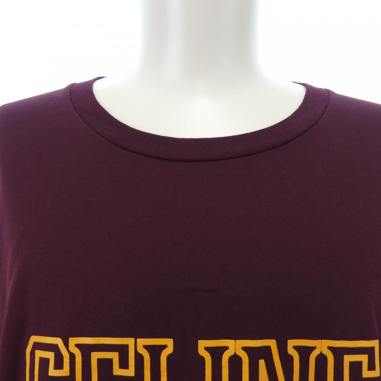 CELINE Triomphe Loose T-shirt RX02N671Q