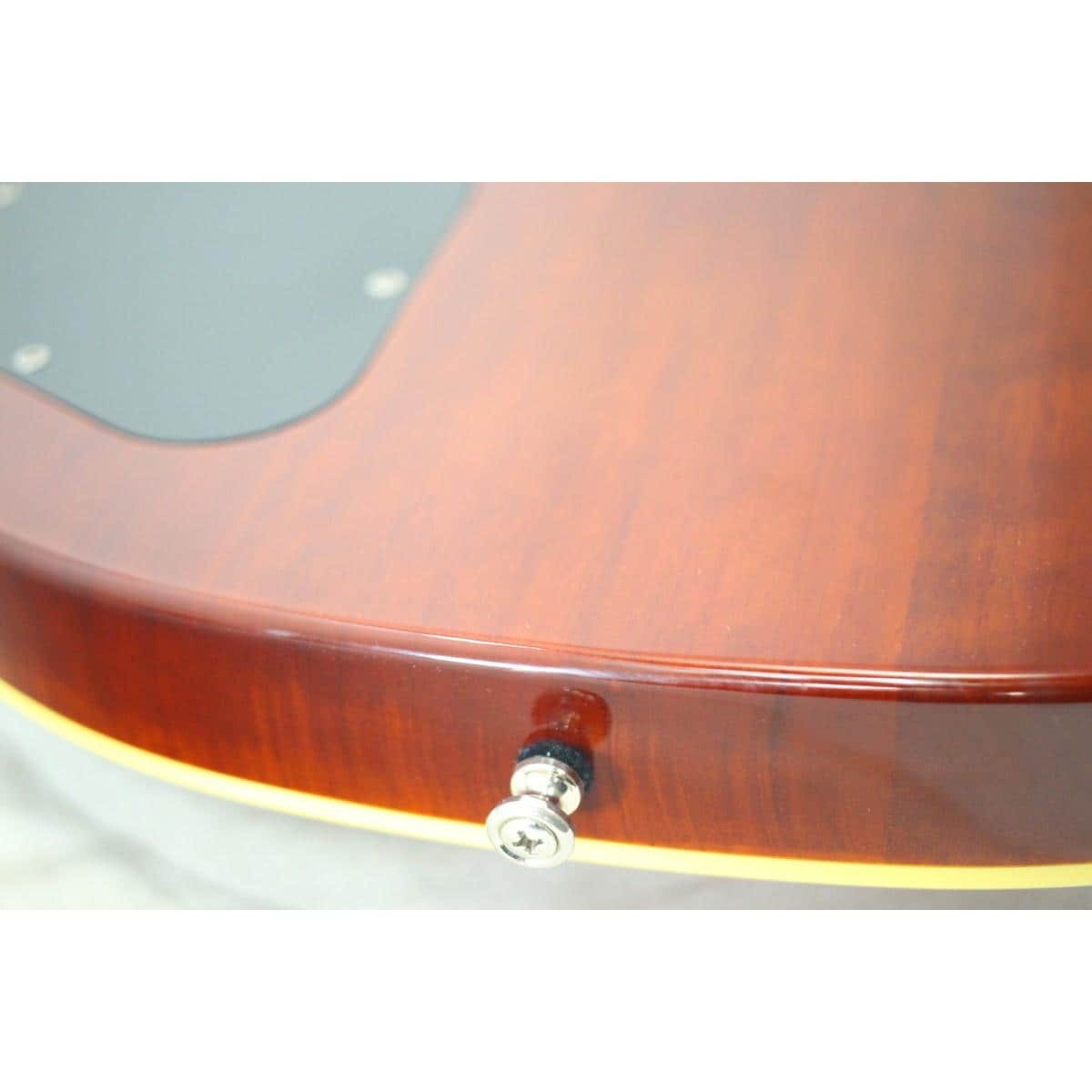 ＧＵＩＬＤ　　ＢＬＵＥＳＢＩＲＤ