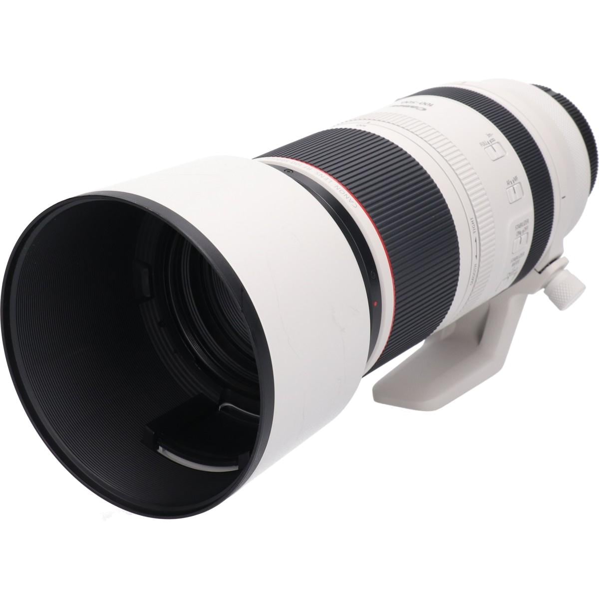 ＲＦ１００－５００ｍｍ　Ｆ４．５－７．１Ｌ　ＩＳ　ＵＳＭ