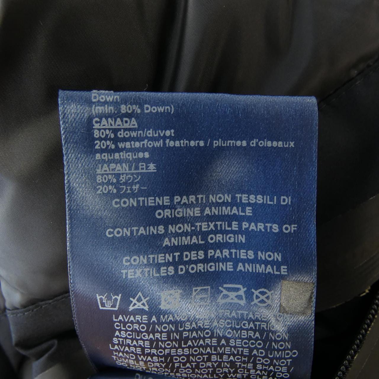 Herno down coat