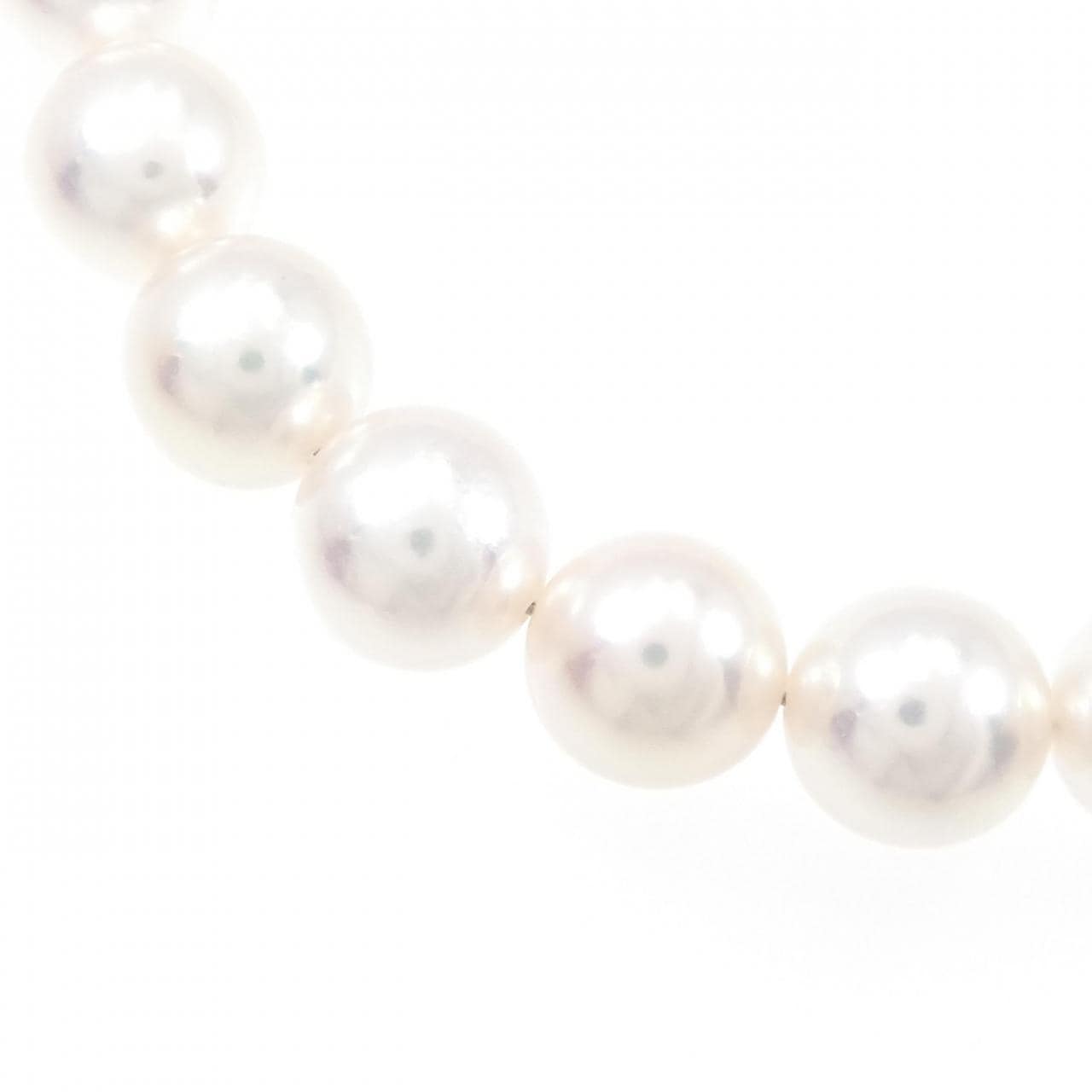 [BRAND NEW] Silver Clasp Akoya Pearl Necklace 8-8.5mm