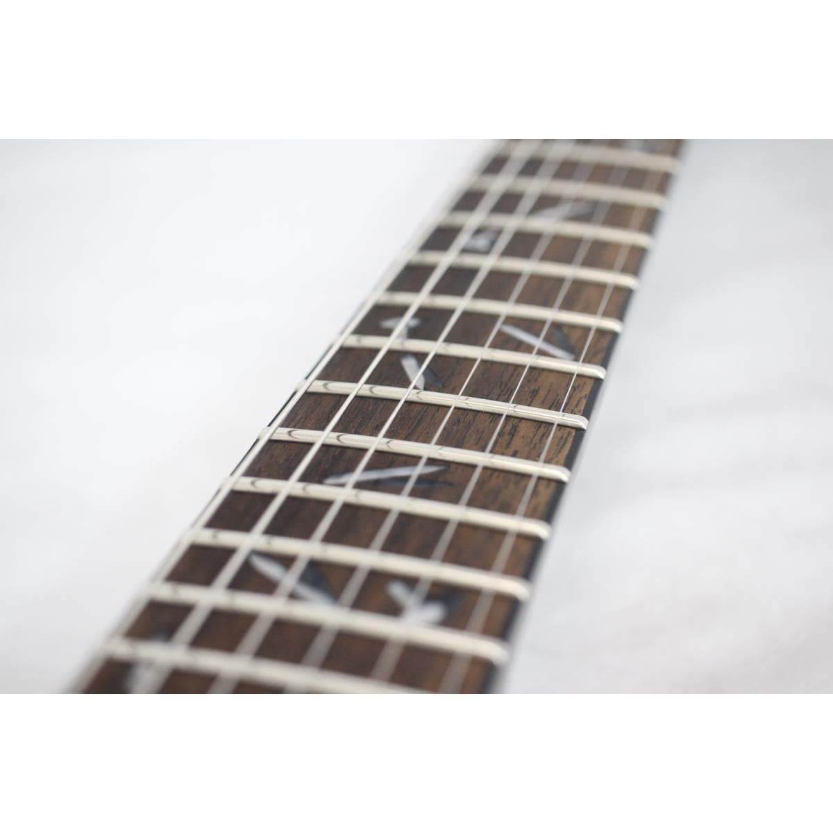 DEAN MICHAEL SCHENKER SITN