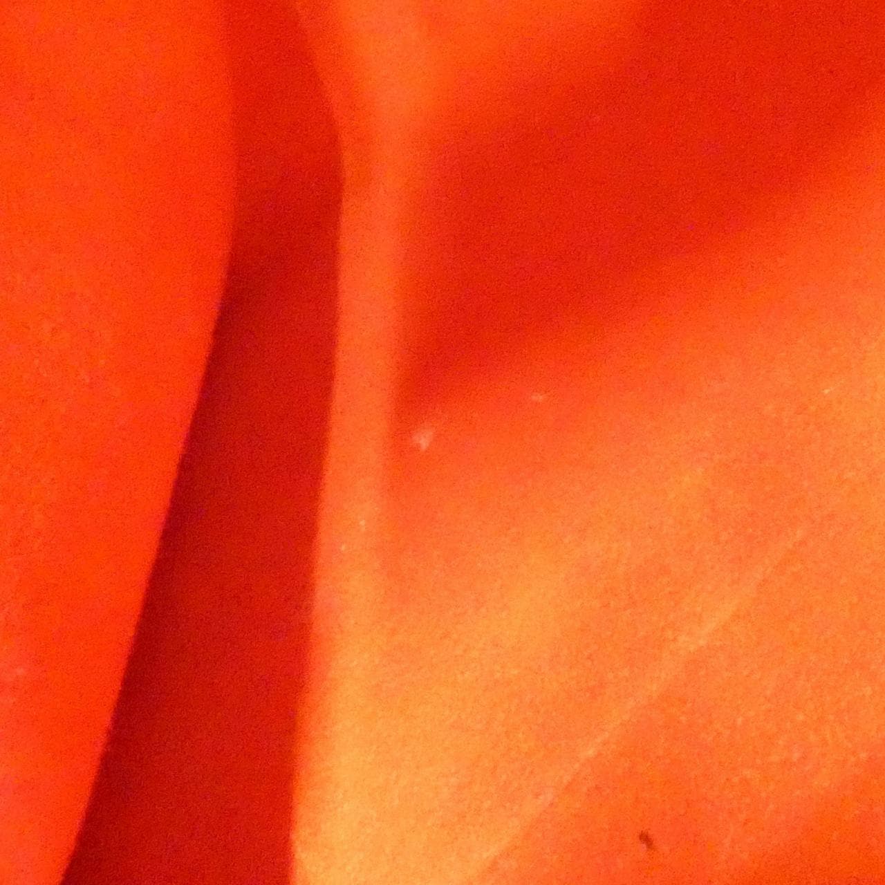 ルイヴィトン ダミエ ハムステッド MM N51204 バッグ