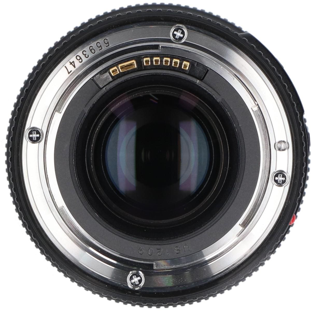 ＥＦ１００ｍｍ　Ｆ２．８Ｌ　ＭＡＣＲＯ　ＩＳ　ＵＳＭ