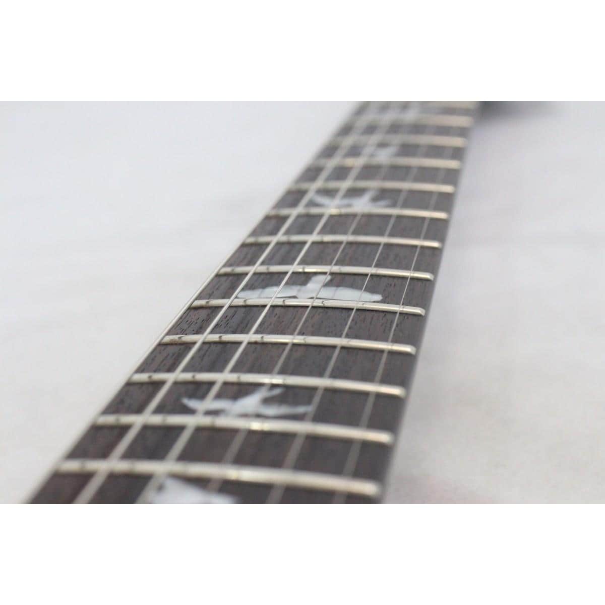 ＰＡＵＬ　ＲＥＥＤ　ＳＭＩＴＨ　　ＳＥ　ＣＵＳＴＯＭ　２４