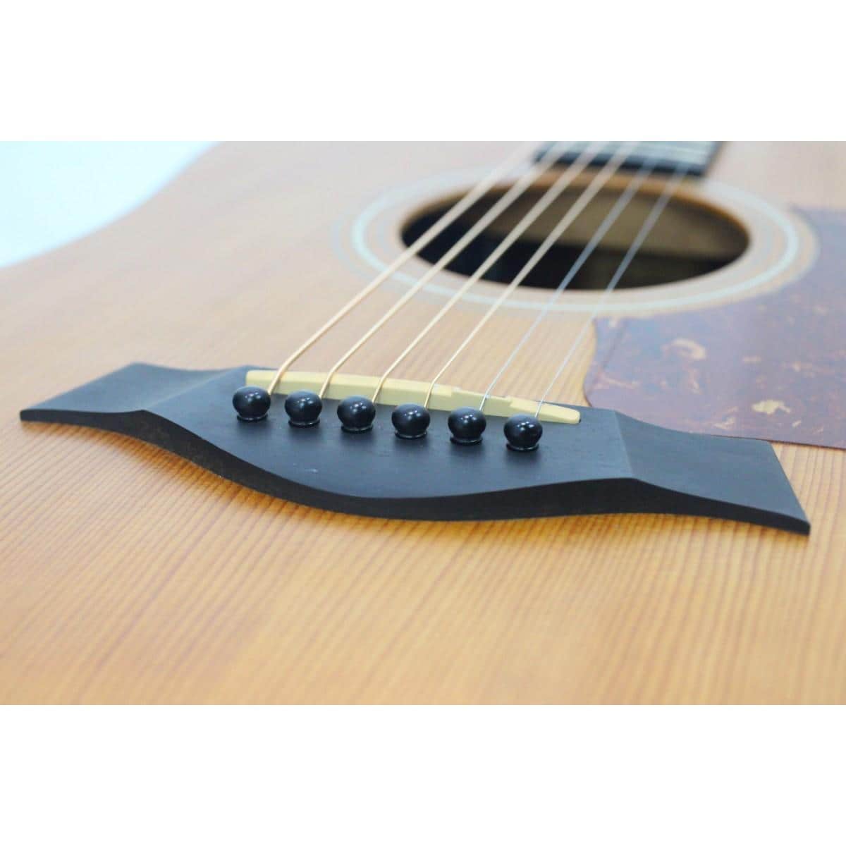 ＴＡＹＬＯＲ　　１１０Ｅ