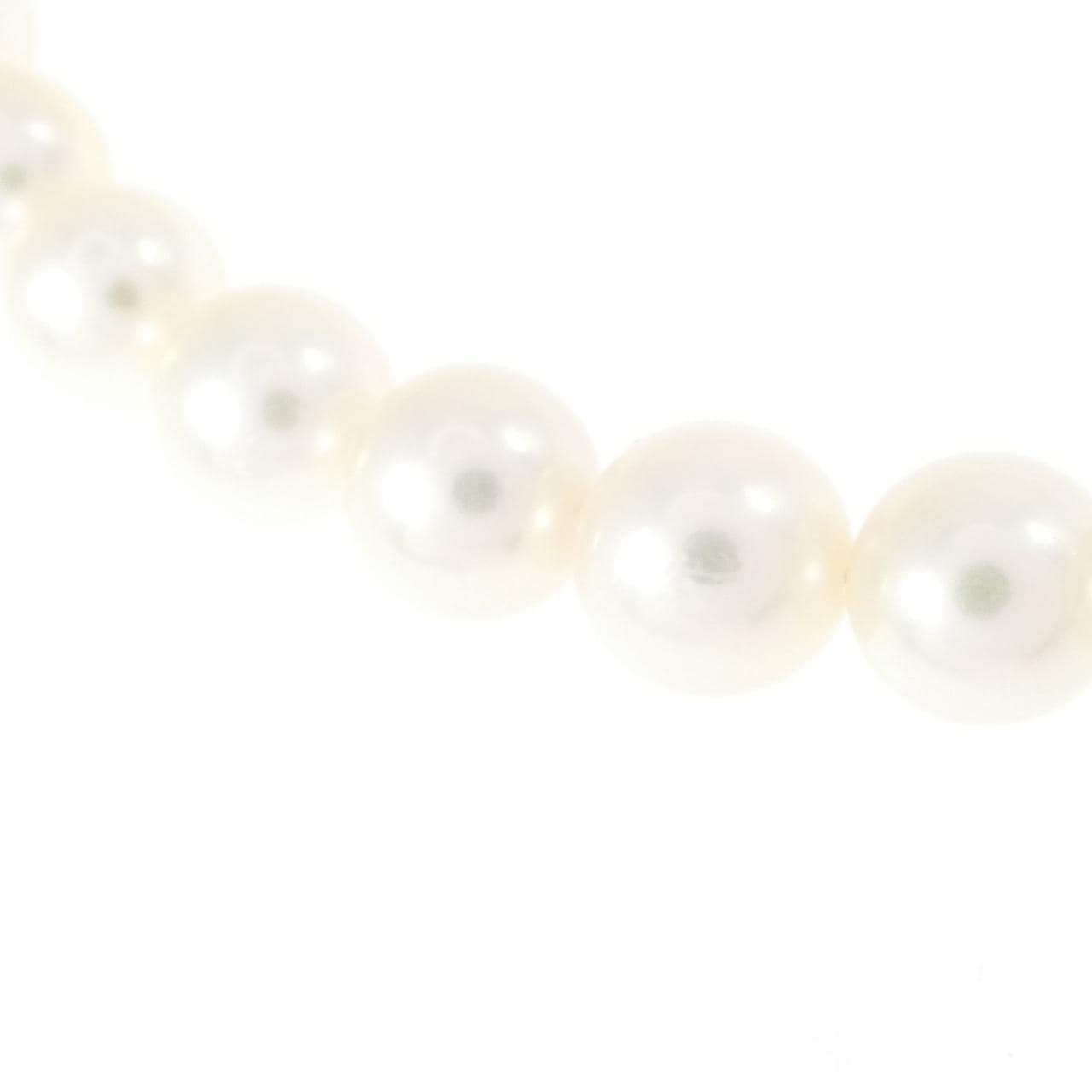 シルバークラスプ アコヤパール ネックレス 5.5-6mm
