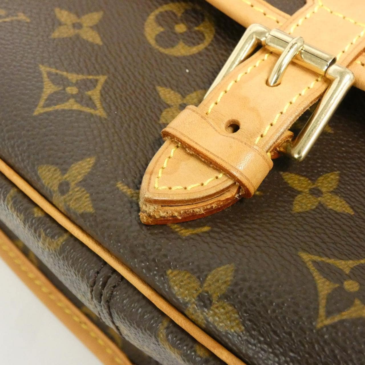 LOUIS VUITTON Monogram Sologne M42250 单肩包