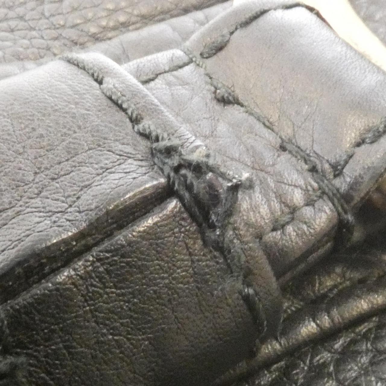 グッチ 257051 バッグ