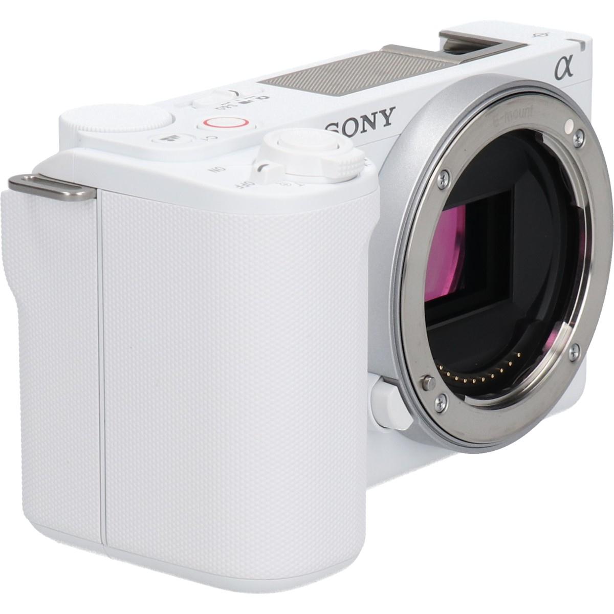 ＶＬＯＧＣＡＭ　ＺＶ－Ｅ１０ＩＩ