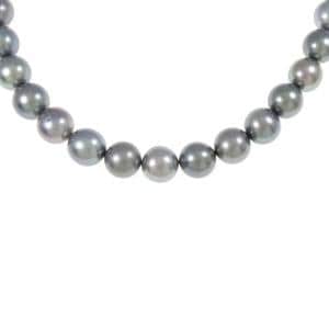 シルバークラスプ 黒蝶パール ネックレス 8-9mm