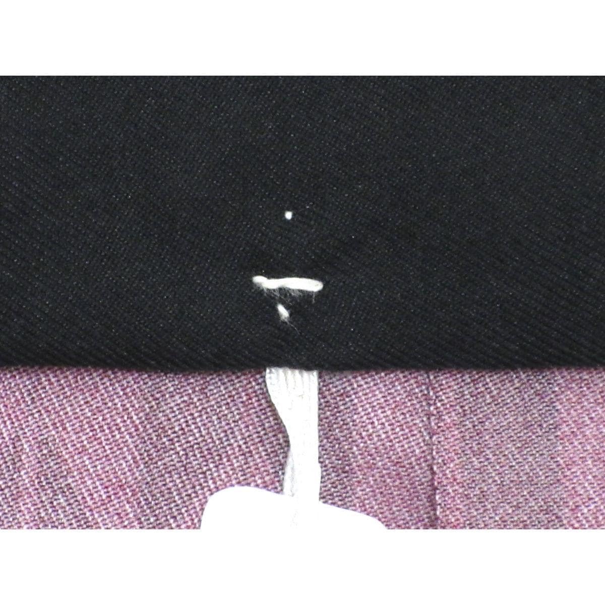 女袴　ｅａｒｔｈ　紐下９５ｃｍ　Ｌサイズ