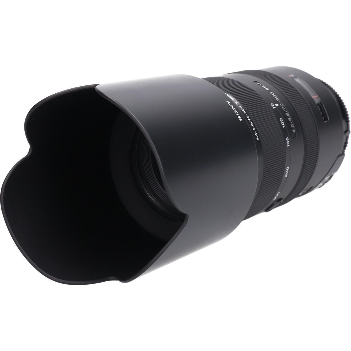 ７０－３００ｍｍ　Ｆ４．５－５．６Ｇ　ＳＳＭ