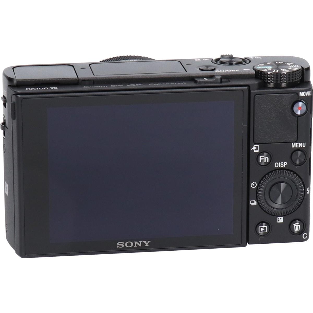 ＤＳＣ－ＲＸ１００Ｍ７