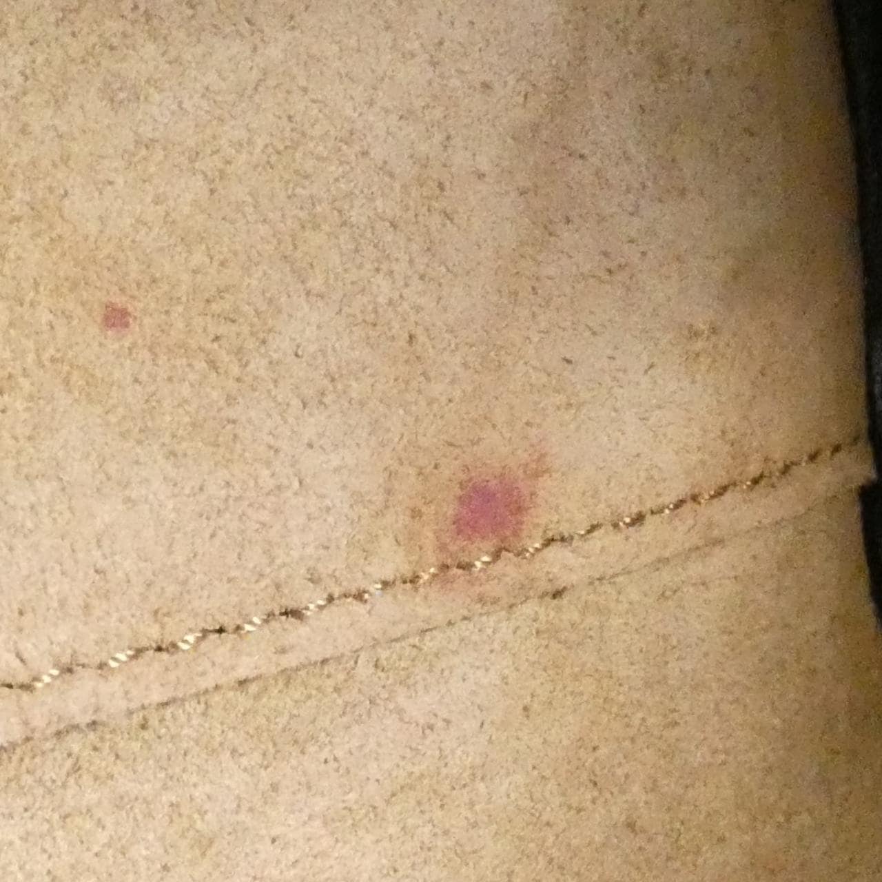 ロエベ アマソナ 19cm A039N10X02 バッグ