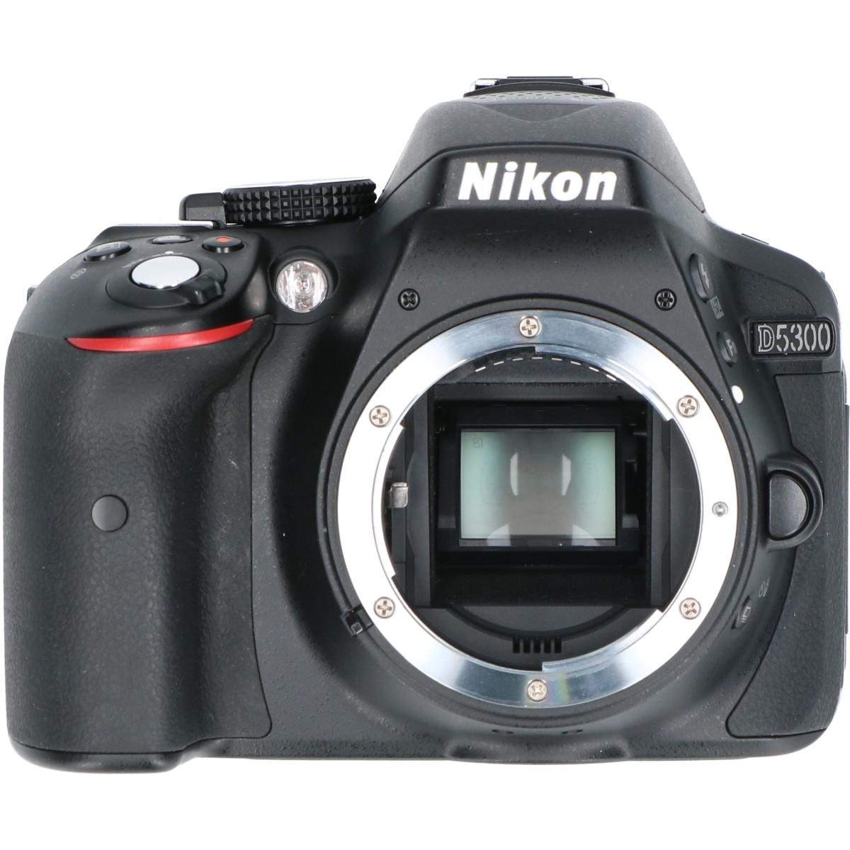 Ｄ５３００