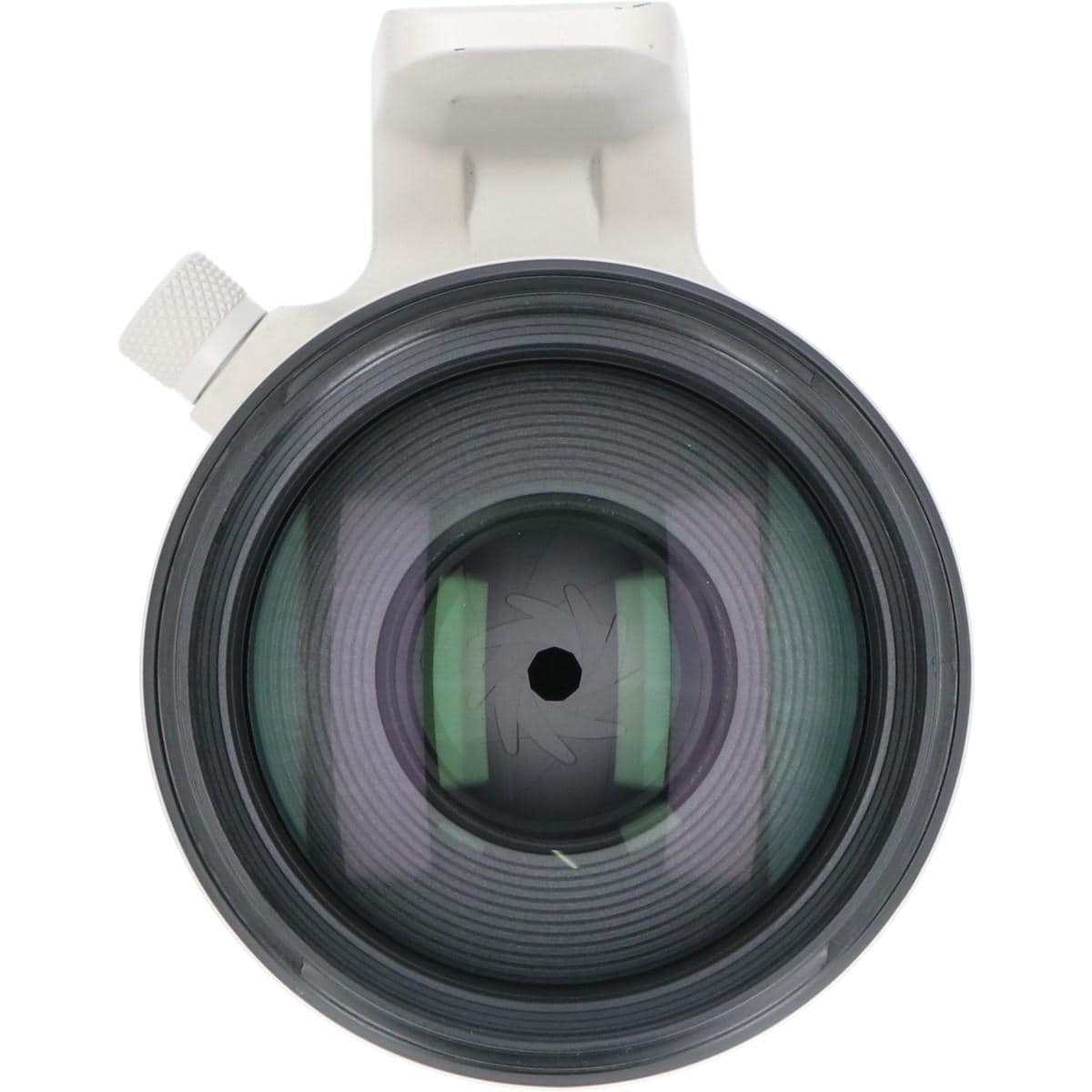 RF70-200mm F2.8L IS USM