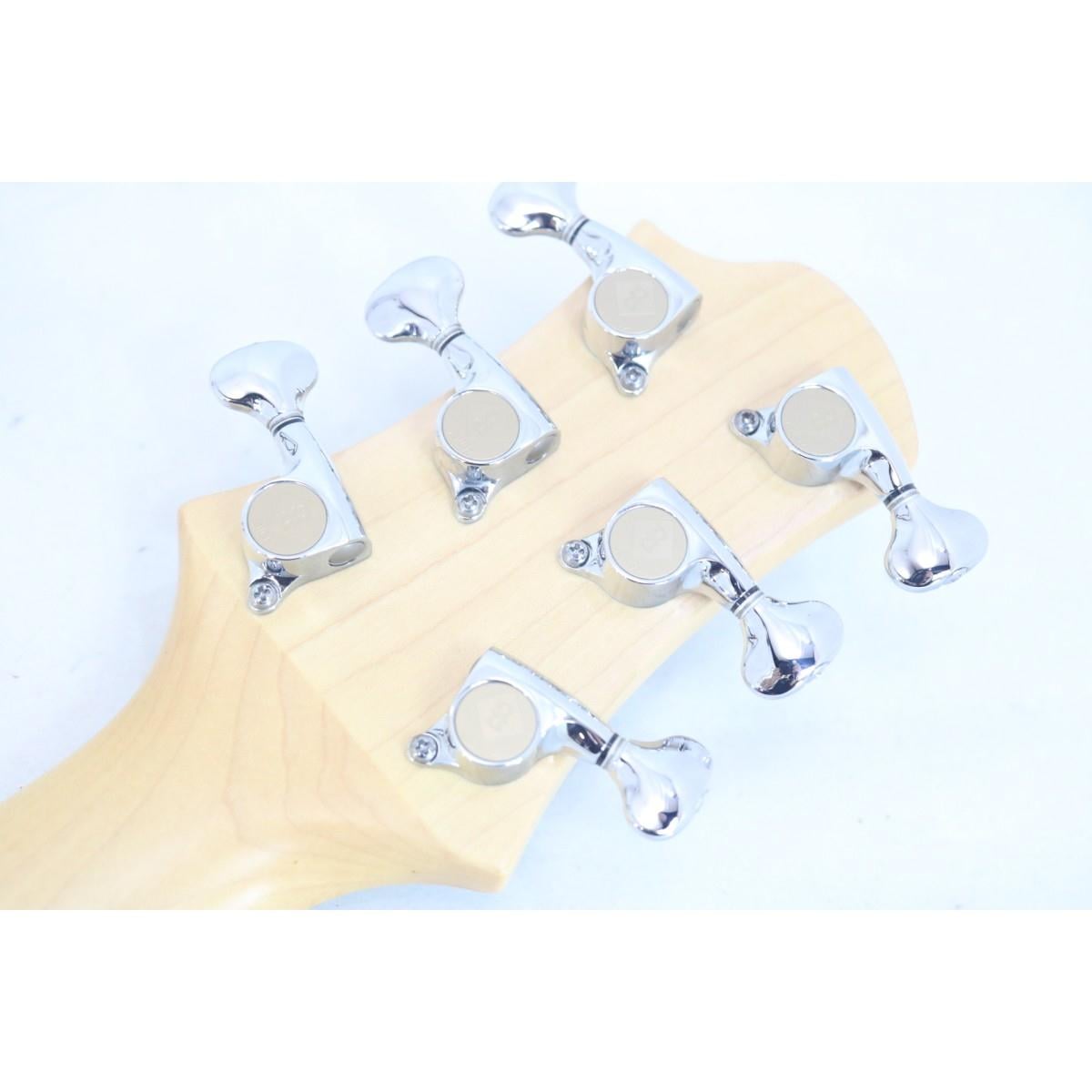 Ｒｅｌｉｓｈ　Ｇｕｉｔａｒｓ ＳＨＡＤＹ　Ａ　ＭＡＲＹ
