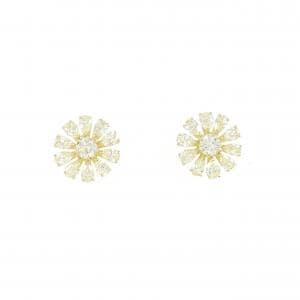 Diamond earrings/earrings