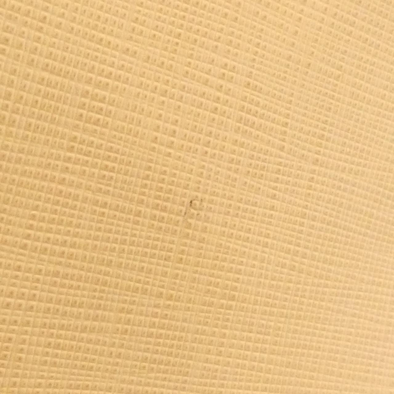 サルヴァトーレフェラガモ 21 1772 バッグ