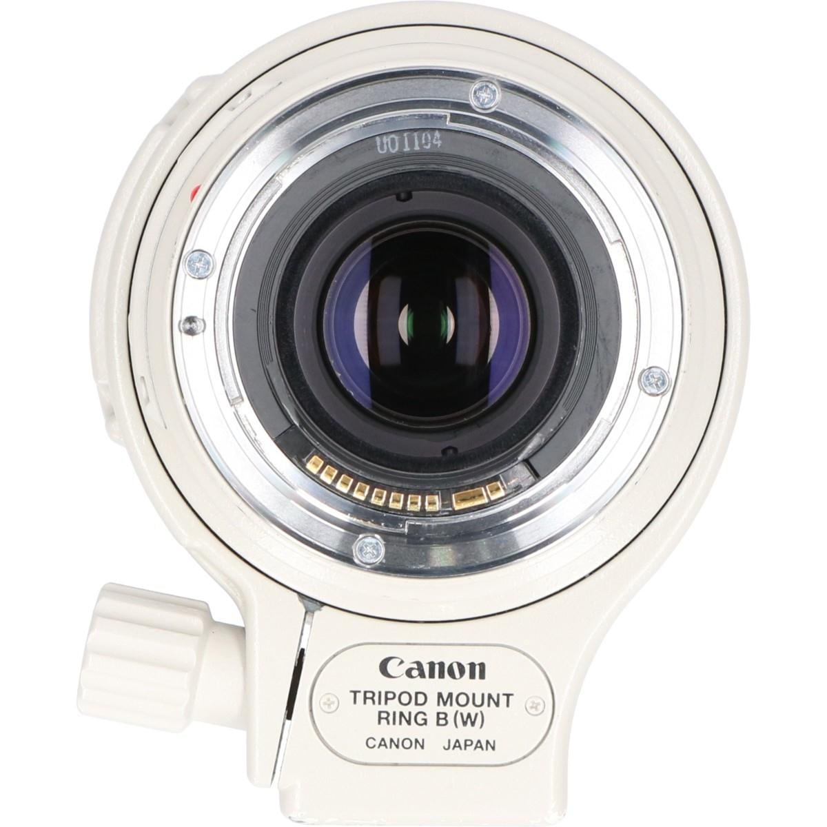 EF100-400mm F4.5-5.6L IS USM