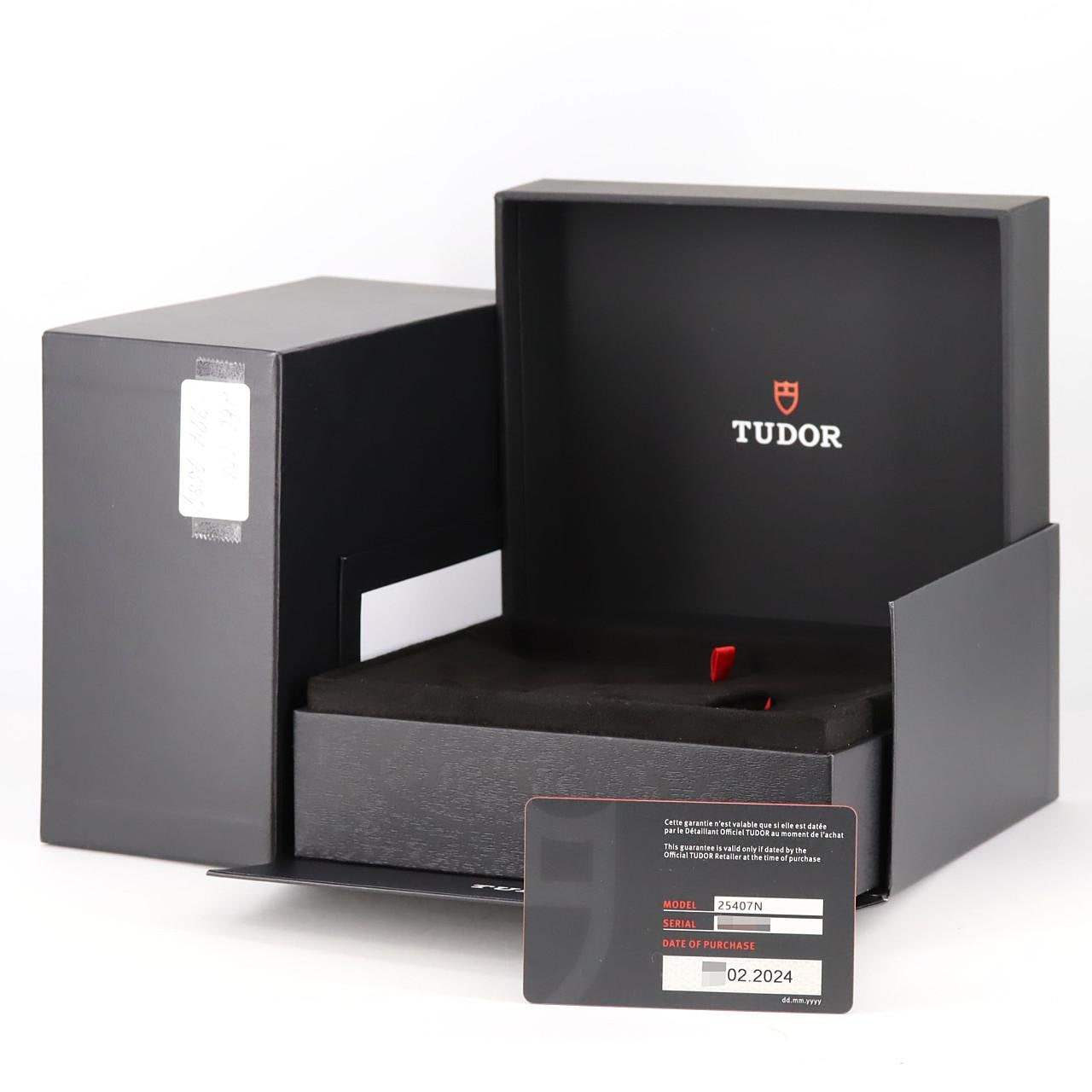 チューダー/チュードル ペラゴス39 TI M25407N-0001 TI 自動巻