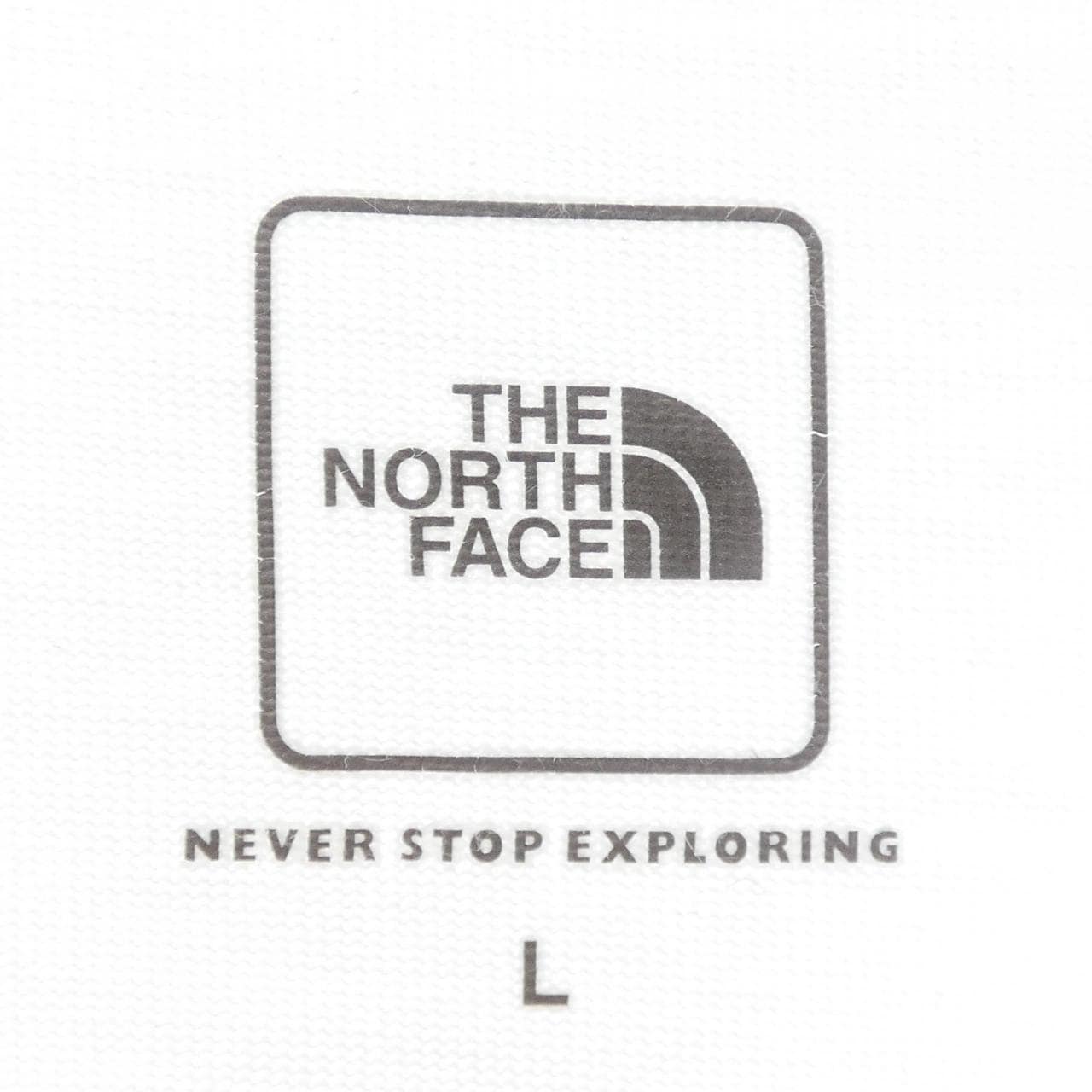 ザノースフェイス THE NORTH FACE NT31949 Tシャツ