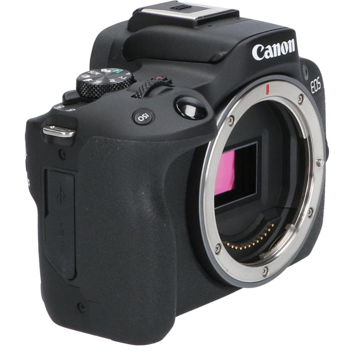 CANON EOS R50