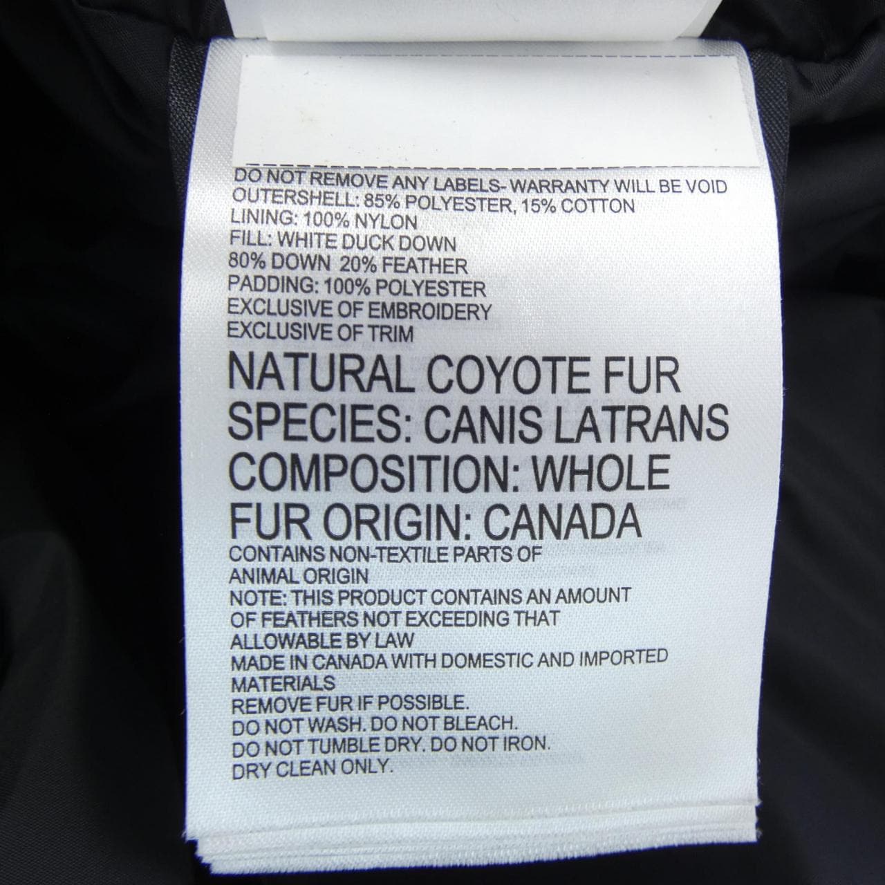 Canada goose CANADA GOOSE down jacket