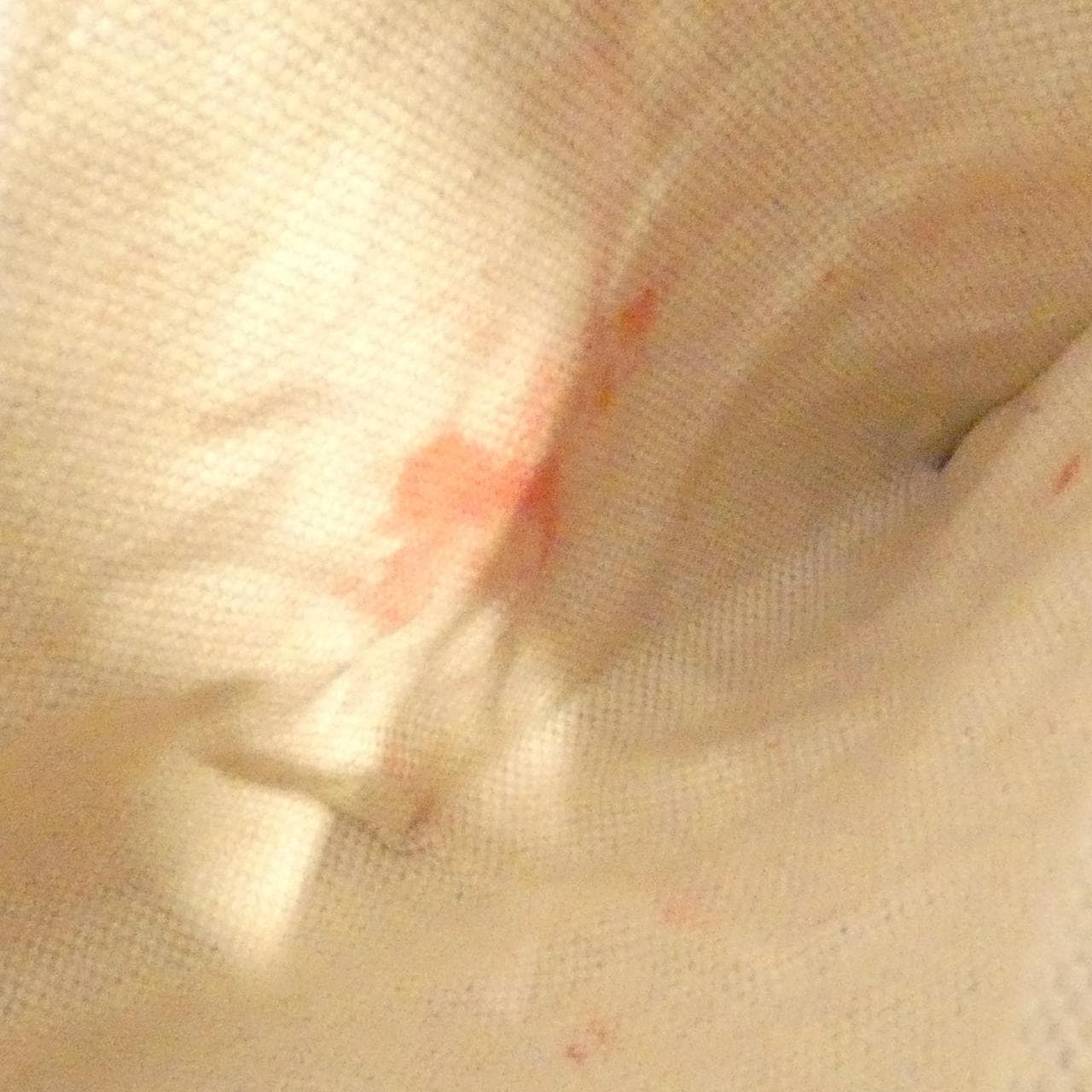 グッチ 277514 ANK0G バッグ