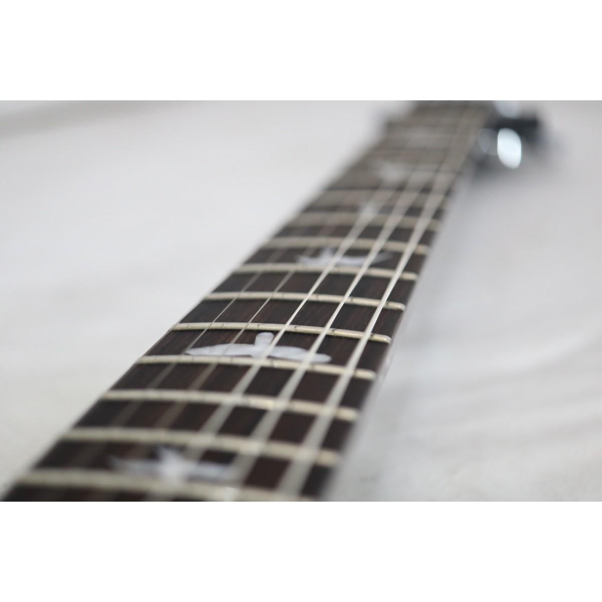 ＰＡＵＬ　ＲＥＥＤ　ＳＭＩＴＨ　　ＳＥ　ＣＵＳＴＯＭ　２４／ＬＨ