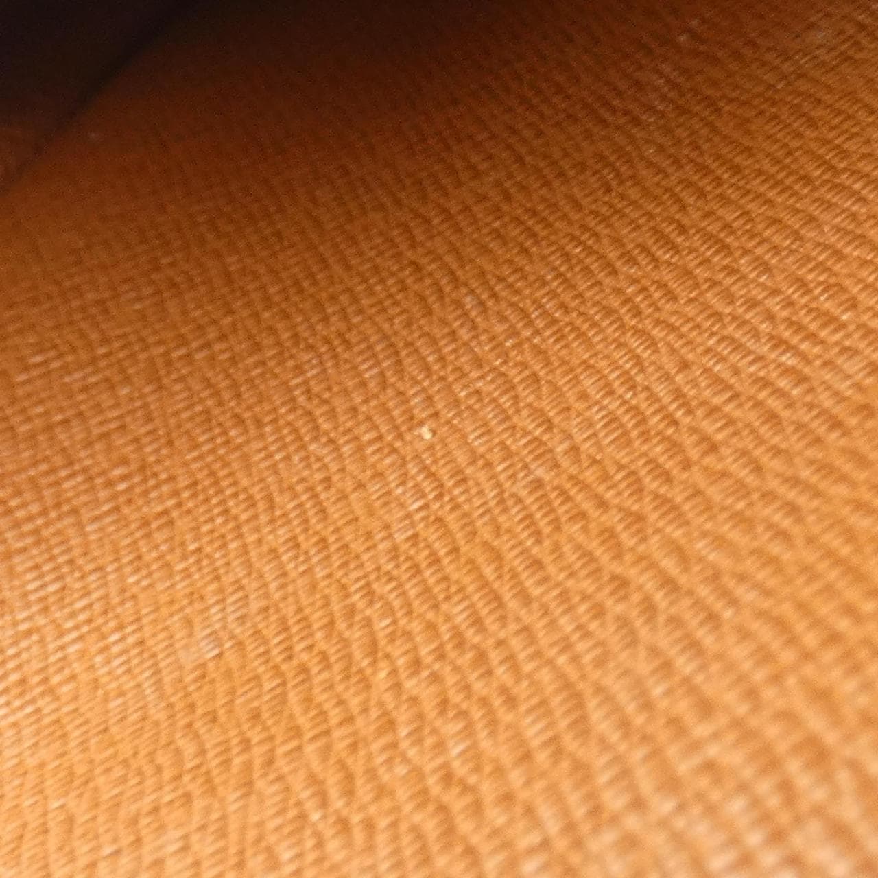ルイヴィトン モノグラム アマゾン M45236 ショルダーバッグ