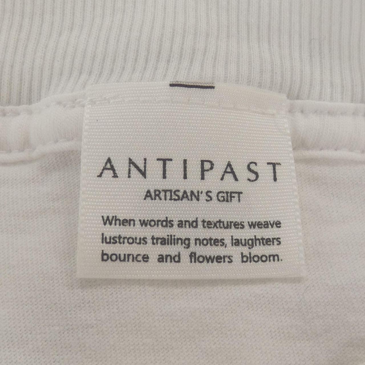 アンティパスト ANTIPAST KNT260 Tシャツ