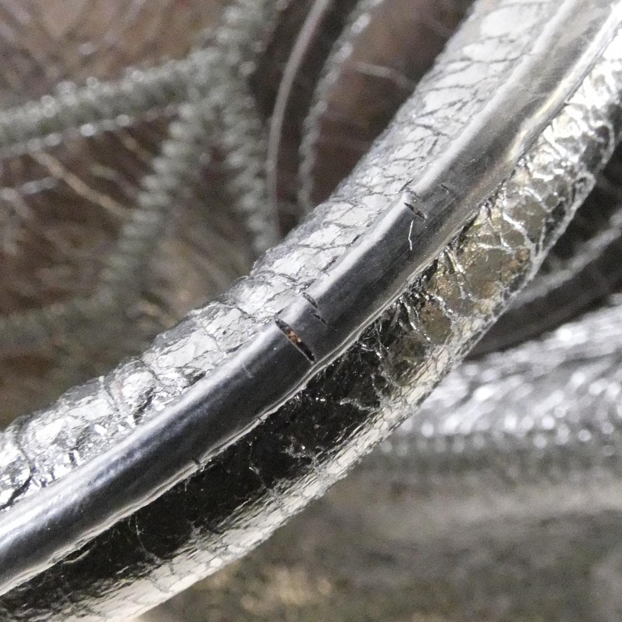 ミュウミュウ 5BB080 バッグ